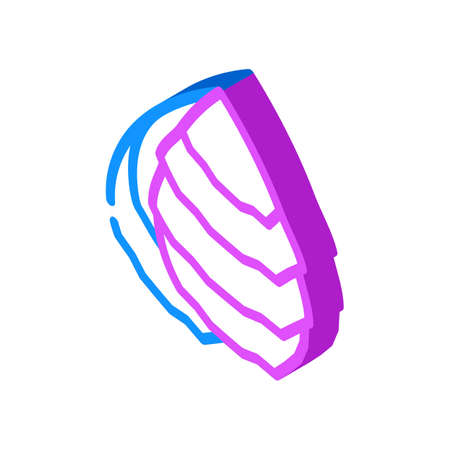 oyster ocean isometric icon vector. oyster ocean sign. isolated symbol illustrationのイラスト素材