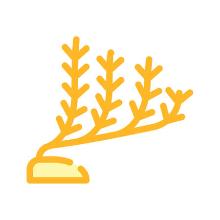 marine seaweed color icon vector. marine seaweed sign. isolated symbol illustrationのイラスト素材