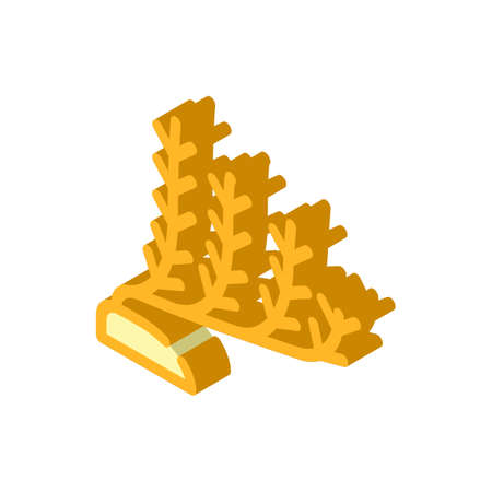 marine seaweed isometric icon vector. marine seaweed sign. isolated symbol illustrationのイラスト素材