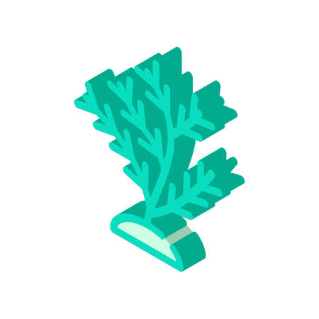 aquatic coral isometric icon vector. aquatic coral sign. isolated symbol illustrationのイラスト素材
