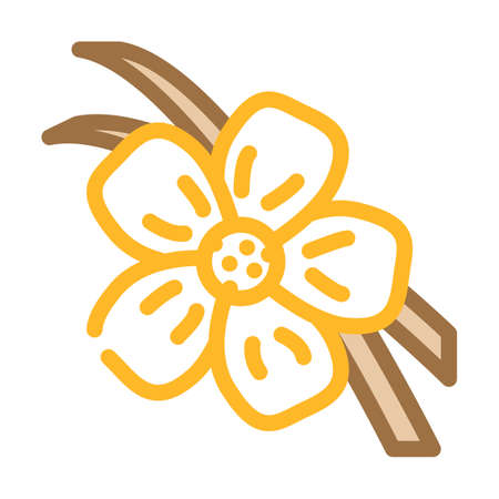 vanilla sticks color icon vector. vanilla sticks sign. isolated symbol illustrationのイラスト素材