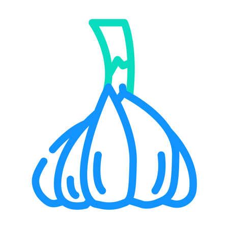 head of garlic color icon vector. head of garlic sign. isolated symbol illustrationのイラスト素材