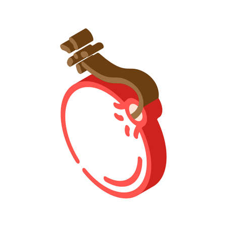 bomb pirate isometric icon vector. bomb pirate sign. isolated symbol illustrationのイラスト素材