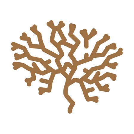 irish moss seaweed color icon vector. irish moss seaweed sign. isolated symbol illustrationのイラスト素材