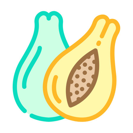 papayas fruit color icon vector. papayas fruit sign. isolated symbol illustrationのイラスト素材