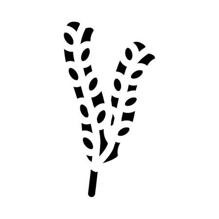 fucus vesiculosus seaweed glyph icon vector. fucus vesiculosus seaweed sign. isolated contour symbol black illustrationのイラスト素材