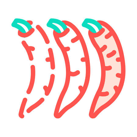 low spicy pepper food taste color icon vector. low spicy pepper food taste sign. isolated symbol illustrationのイラスト素材