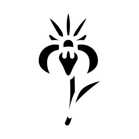 iris flower glyph icon vector. iris flower sign. isolated contour symbol black illustrationのイラスト素材