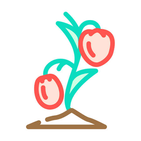 seedling tomato color icon vector. seedling tomato sign. isolated symbol illustrationのイラスト素材