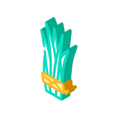 related algae plant isometric icon vector. related algae plant sign. isolated symbol illustrationのイラスト素材