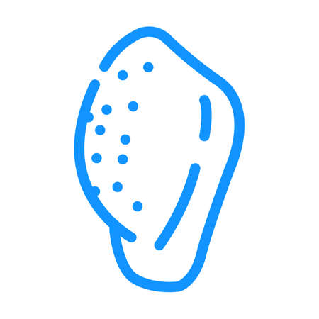 middle phalanx color icon vector. middle phalanx sign. isolated symbol illustrationのイラスト素材