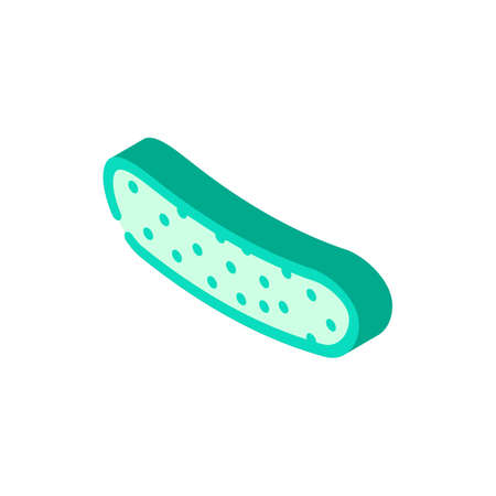 cucumber with pimples isometric icon vector. cucumber with pimples sign. isolated symbol illustrationのイラスト素材