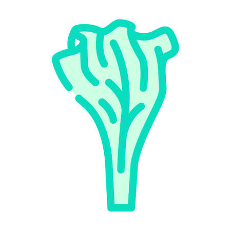 lettuce healthy food color icon vector. lettuce healthy food sign. isolated symbol illustrationのイラスト素材