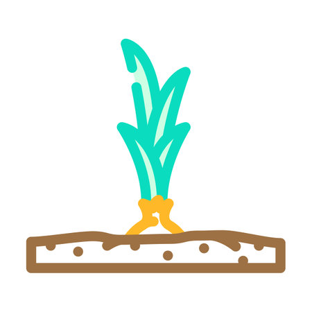 garden onion color icon vector. garden onion sign. isolated symbol illustrationのイラスト素材