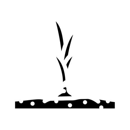 garden onion glyph icon vector. garden onion sign. isolated symbol illustrationのイラスト素材