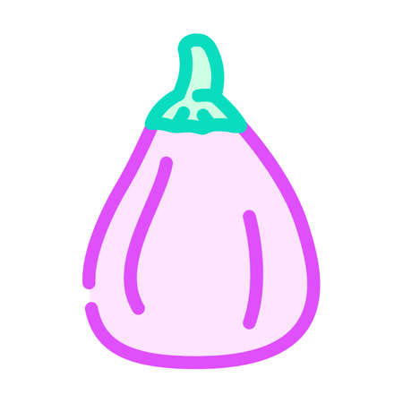 galine eggplant color icon vector. galine eggplant sign. isolated symbol illustrationのイラスト素材