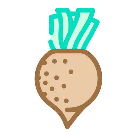 black radish color icon vector. black radish sign. isolated symbol illustrationのイラスト素材