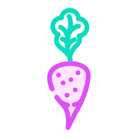 purple radish color icon vector. purple radish sign. isolated symbol illustrationのイラスト素材