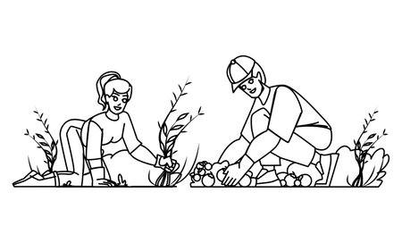 couple gardering line pencil drawing vector. man woman summer, happy nature, lifestyle young family, home leisure couple gardering character. people Illustrationのイラスト素材