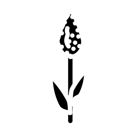 sorghum plant food glyph icon vector. sorghum plant food sign. isolated symbol illustrationのイラスト素材