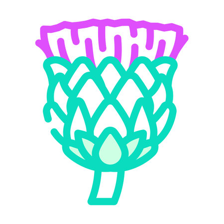 flower artichoke color icon vector. flower artichoke sign. isolated symbol illustrationのイラスト素材