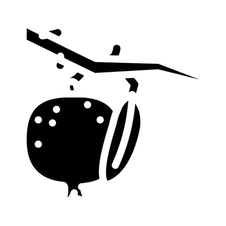 pomegranate branch leaf glyph icon vector. pomegranate branch leaf sign. isolated symbol illustrationのイラスト素材