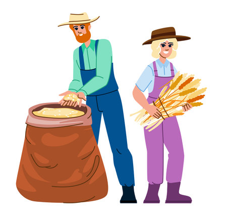 harvesting wheat vectorのイラスト素材