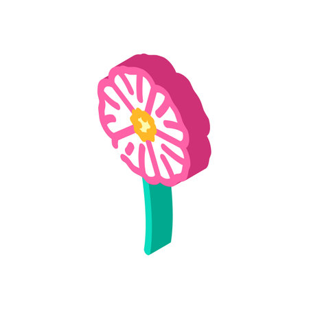 hibiscus flower spring isometric icon vector illustrationのイラスト素材