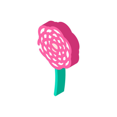 camellia flower spring isometric icon vector illustrationのイラスト素材