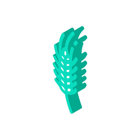 plant green wheat isometric icon vector illustrationのイラスト素材