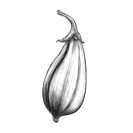 black eggplant ai generated. brinjal background, plant slice, fresh closeup black eggplant illustrationの素材