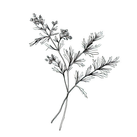 artemisia wormwood ai generated. absinth absinthium, bottle pharmacy, kit plant artemisia wormwood illustrationの素材