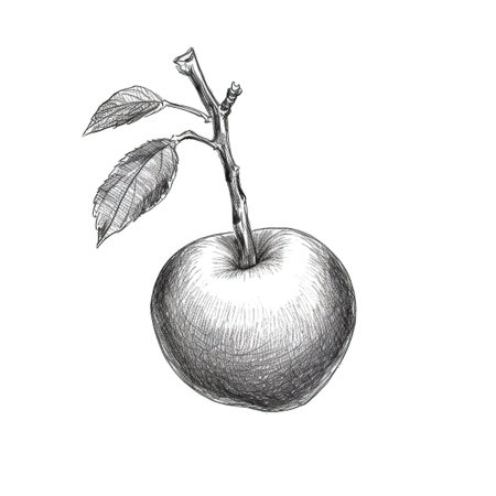 food plum ai generated. slice dessert, half top, tree view food plum illustrationの素材