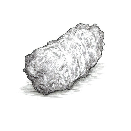 fast nugget chicken fried ai generated. meal delicious, hot french, kentucky meat fast nugget chicken fried illustrationの素材