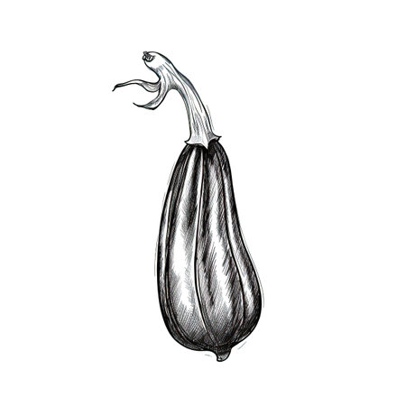 brinjal eggplant ai generated. background plant, slice fresh, closeup organic brinjal eggplant illustrationの素材