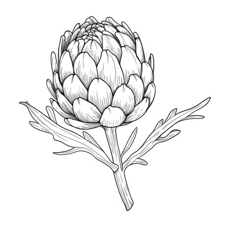 flower artichoke ai generated. foliage globe, agriculture leaf, background organic flower artichoke illustrationの素材