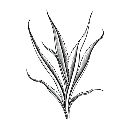 water aloe vera ai generated. leaf plant, fresh green, health healthy water aloe vera illustrationの素材