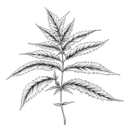 weed cannabis plant ai generated. hemp leaf, farm grow, green garden weed cannabis plant illustrationの素材