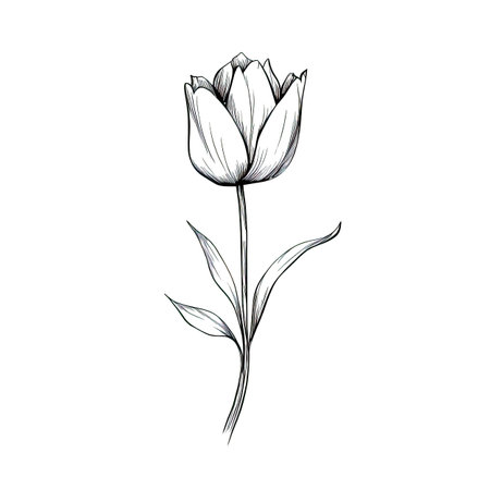 pink blooming tulip ai generated. spring bouquet, bunch garden, red floral pink blooming tulip illustrationの素材