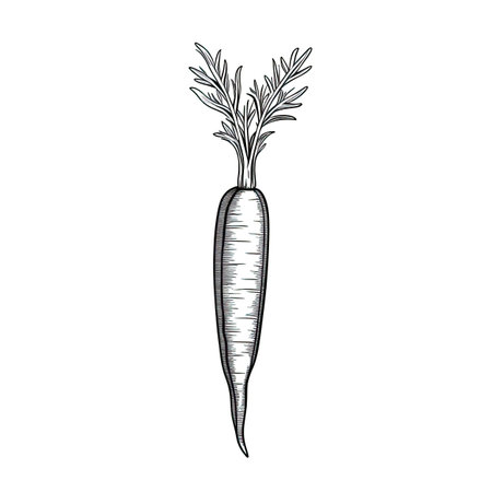 background carrot ai generated. orange fresh, food slice, cut ingredient background carrot illustrationの素材