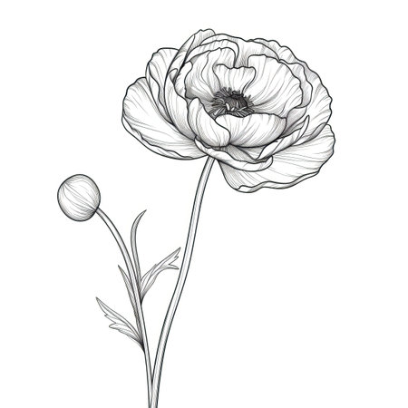 bouquet Ranunculus flower ai generated. rose spring, bunch vintage, pink wedding bouquet Ranunculus flower illustrationの素材