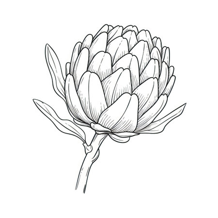 agriculture artichoke ai generated. leaf background, organic 3d, antioxidant heartischocke agriculture artichoke illustrationの素材