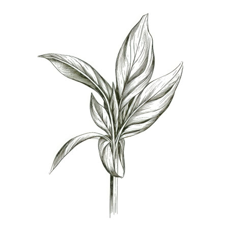 food pesto ai generated. background meal, dinner dish, bolognese sauce food pesto illustrationの素材