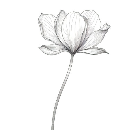 saffron Crocus flower ai generated. background garden, blue leaf, meadow yellow saffron Crocus flower illustrationの素材