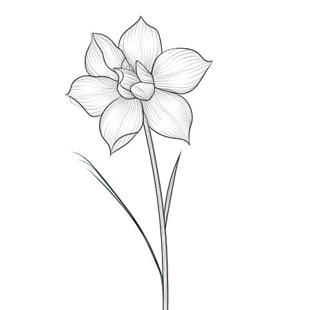 flat Daffodil flower ai generated. background garden, easter field, april sun flat Daffodil flower illustrationの素材