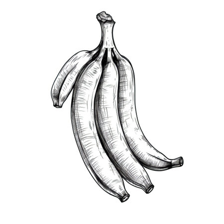 fruit banana ai generated. food background, ripe fresh, bunch sweet fruit banana illustrationの素材