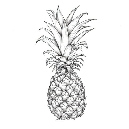 slice pineapple ai generated. leaf ananas, pineapple food, sweet fresh slice pineapple illustrationの素材