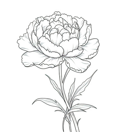 plant Peony flower ai generated. rose spring, watercolor pink, bouquet wedding plant Peony flower illustrationの素材