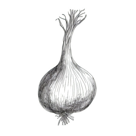 cut onion ai generated. half above, food vegetable, seasoning purple cut onion illustrationの素材