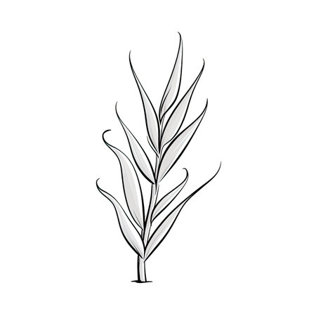leaf aloe vera ai generated. plant fresh, green health, healthy natural leaf aloe vera illustrationの素材